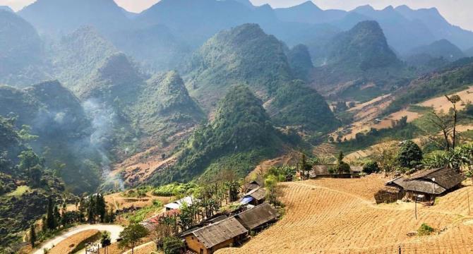 Giới thiệu Vivbus